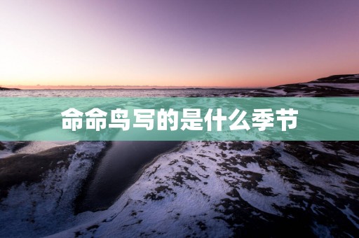命命鸟写的是什么季节