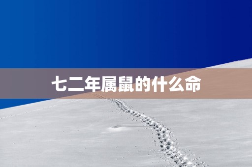 七二年属鼠的什么命