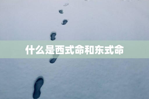 什么是西式命和东式命