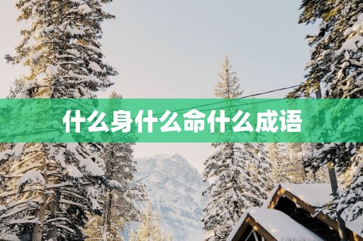 什么身什么命什么成语