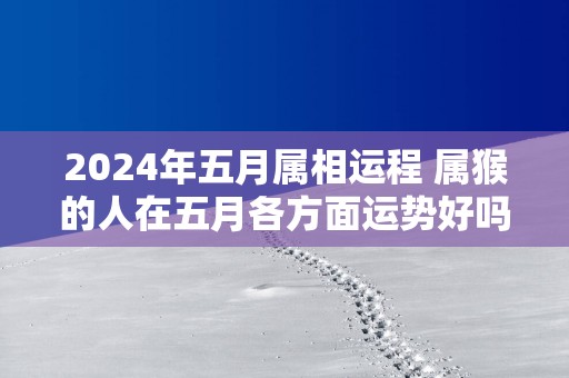2025年五月属相运程 属猴的人在五月各方面运势好吗