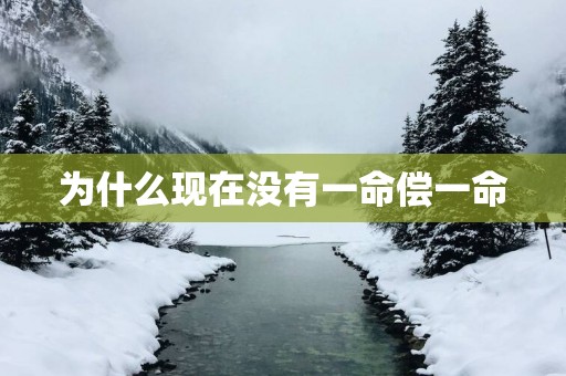 为什么现在没有一命偿一命
