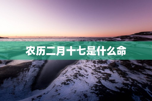 农历二月十七是什么命