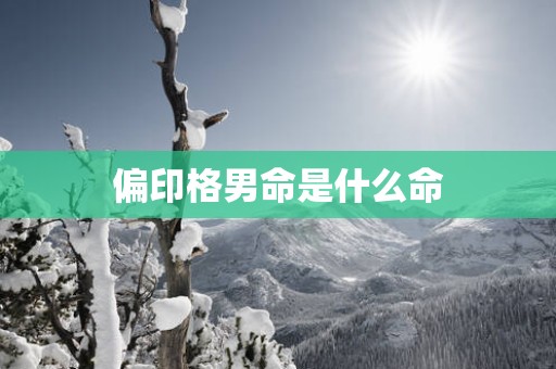 偏印格男命是什么命