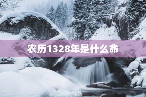 农历1328年是什么命