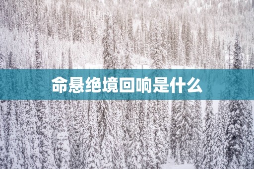 命悬绝境回响是什么