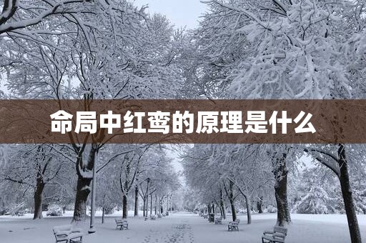 命局中红鸾的原理是什么