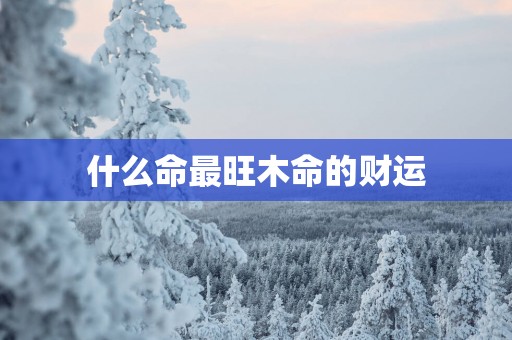 什么命最旺木命的财运