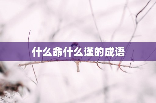 什么命什么谨的成语