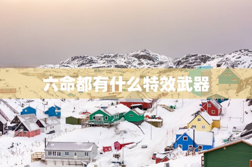 六命都有什么特效武器