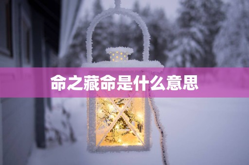 命之藏命是什么意思