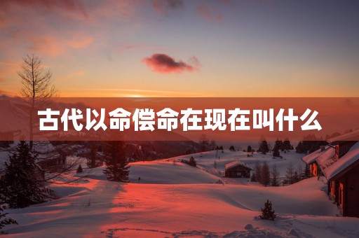 古代以命偿命在现在叫什么