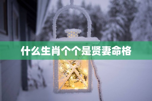 什么生肖个个是贤妻命格