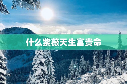 什么紫薇天生富贵命