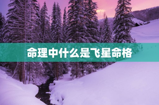 命理中什么是飞星命格