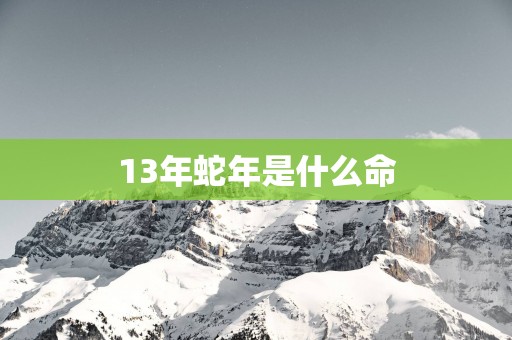 13年蛇年是什么命