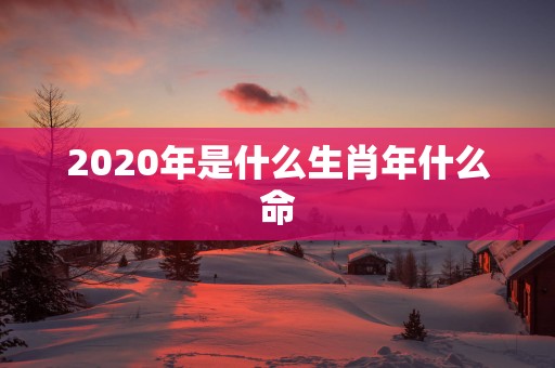2025年是什么生肖年什么命