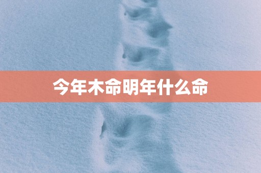 今年木命明年什么命