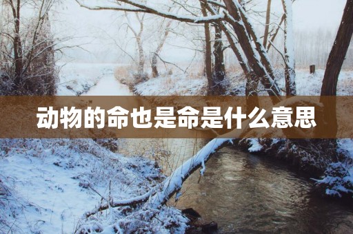 动物的命也是命是什么意思