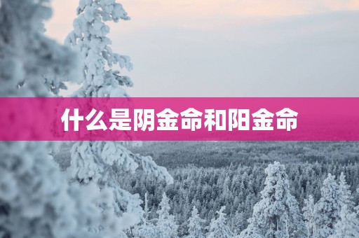 什么是阴金命和阳金命