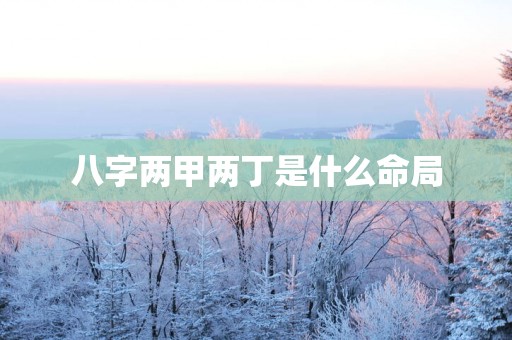 八字两甲两丁是什么命局