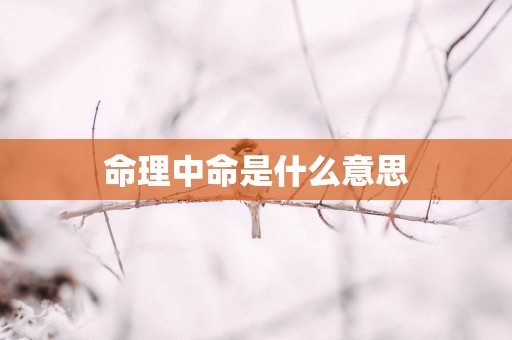 命理中命是什么意思
