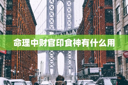 命理中财官印食神有什么用