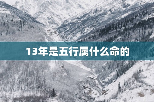 13年是五行属什么命的