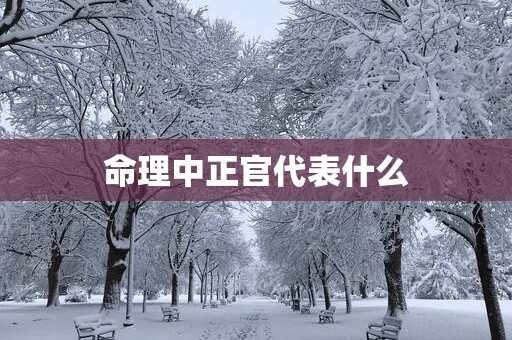 命理中正官代表什么