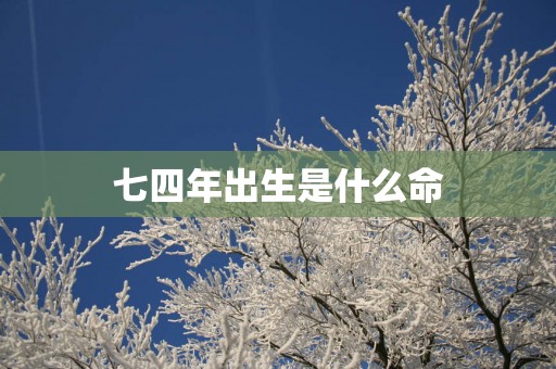 七四年出生是什么命