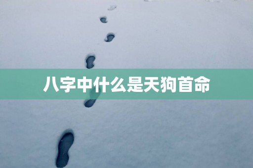 八字中什么是天狗首命