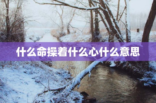 什么命操着什么心什么意思