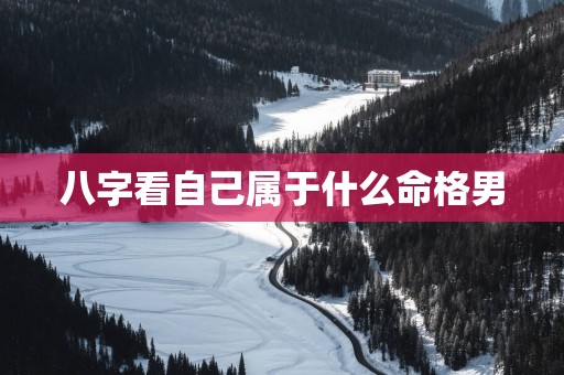 八字看自己属于什么命格男