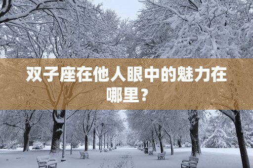 双子座在他人眼中的魅力在哪里？
