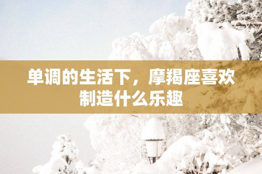 单调的生活下，摩羯座喜欢制造什么乐趣