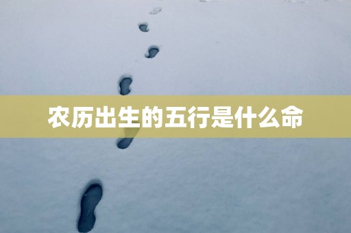 农历出生的五行是什么命