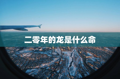 二零年的龙是什么命