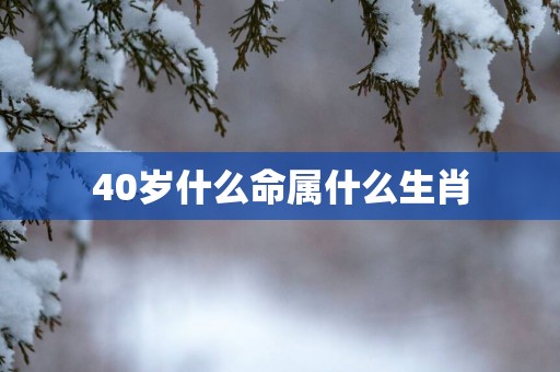 40岁什么命属什么生肖