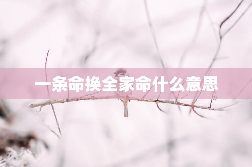 一条命换全家命什么意思