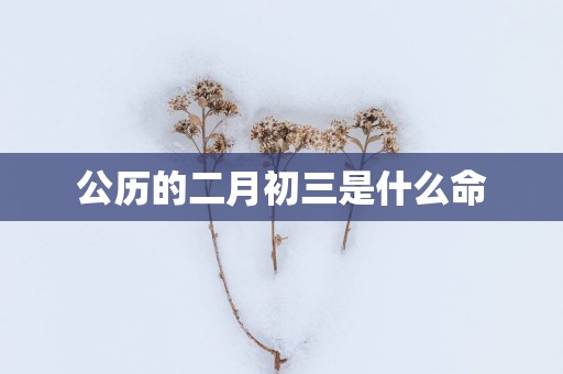 公历的二月初三是什么命