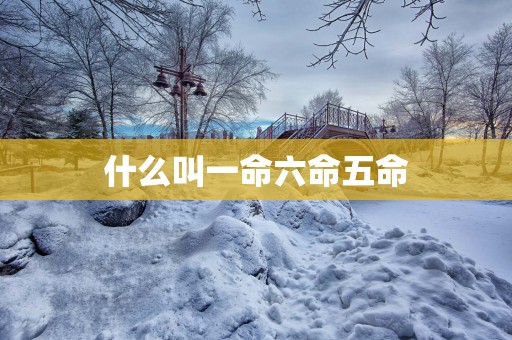 什么叫一命六命五命