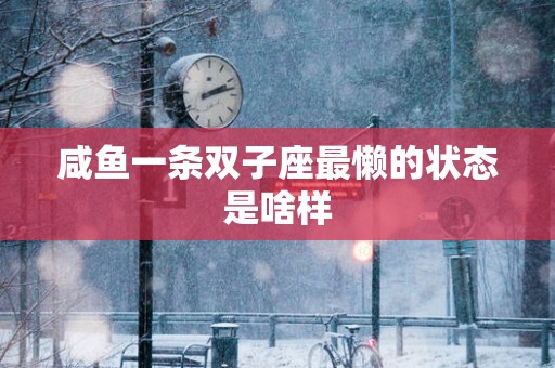 咸鱼一条双子座最懒的状态是啥样