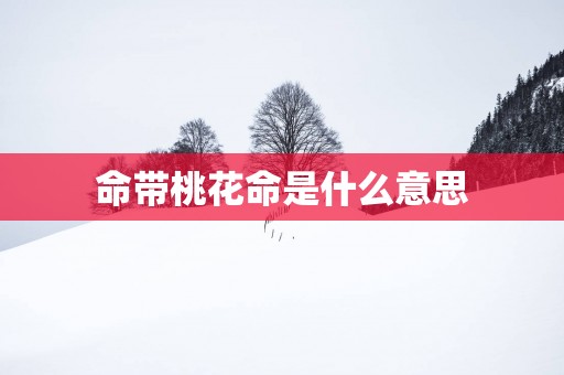 命带桃花命是什么意思
