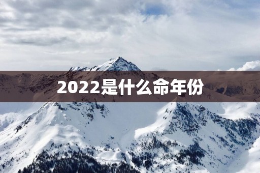 2025是什么命年份