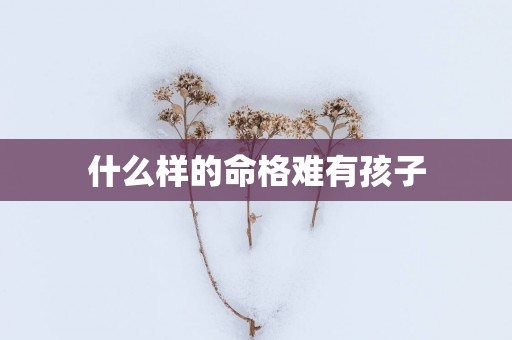 什么样的命格难有孩子