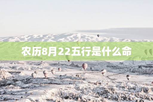 农历8月22五行是什么命