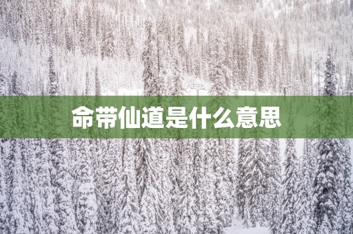 命带仙道是什么意思