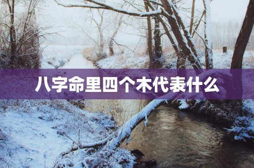 八字命里四个木代表什么