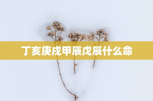 丁亥庚戌甲辰戊辰什么命