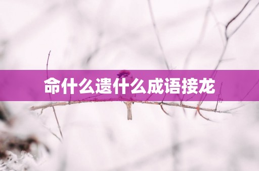 命什么遗什么成语接龙